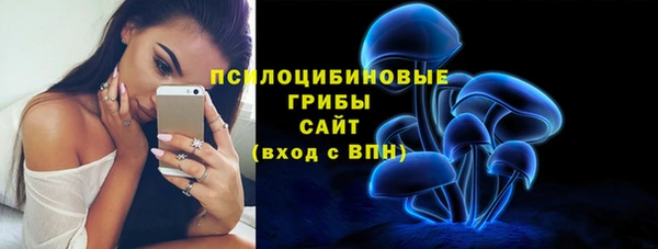 шишки Балахна