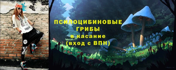шишки Балахна